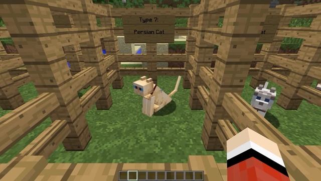 Not Enough Cats Mini Mod Preview | Minecraft Forge Version 1.12.2 смотреть онлайн