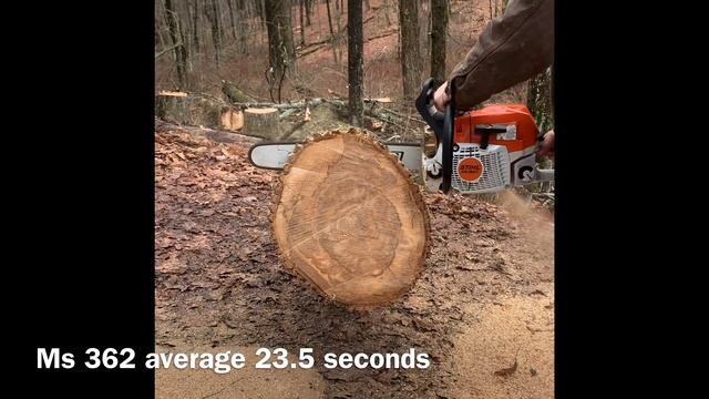 Stihl Ms 462 r c-m vs Stihl Ms 362 r c-m смотреть онлайн