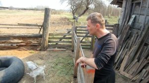 Как содержать козлят от рождения! Ответы на вопросы: содержание кормление.