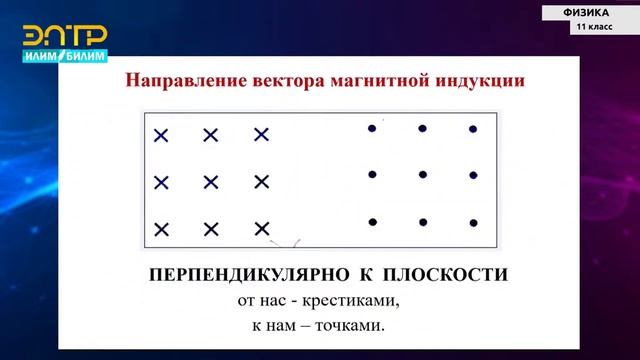 11-класс | Физика | Магнитная индукция. Сила Ампера смотреть онлайн