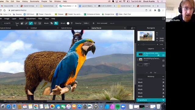How To: Create an ANIMAL HYBRID using Pixlr смотреть онлайн