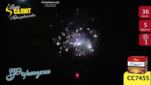 СС7455: Фортуна. Модуль! смотреть онлайн
