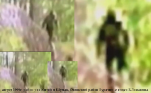 «Снежный человек» в Окинском районе Бурятии (видео Е.Ломакина)