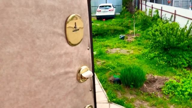 Муж сделал правильный выбор за меня. Порадовал мои ручки? Новое приобретение для дачи.