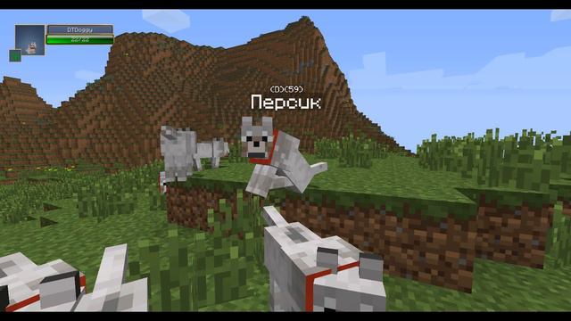 лололошка ищет лошадь смотреть онлайн