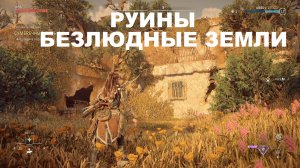 HORIZON ЗАПРЕТНЫЙ ЗАПАД РУИНЫ С РЕЛИКВИЯМИ БЕЗЛЮДНЫЕ ЗЕМЛИ ПРОХОЖДЕНИЕ