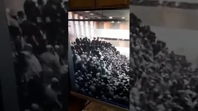 Обрушение трибуны синагоги в Гиват-Зееве в Израиле смотреть онлайн