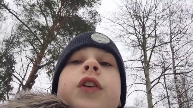 Vlog: Национальный парк «Лосиный остров» смотреть онлайн