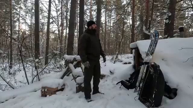 Стаи одичавших собак в лесах центральной России и Урала