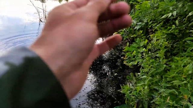 Покатушка на мопеде и ловля карася смотреть онлайн