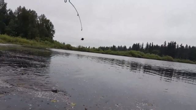 Crappie fishing in Washington State using 1 in. Gulp Chartreuse Shad смотреть онлайн