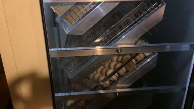 Покупка БЛИЦ БАЗА 630. Заложила яйцо 300 штук. Арбора. Кобб-700. Инкубация. Влог от 17.06.18 смотреть онлайн