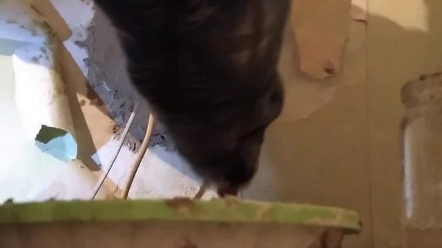 Замена розетки Replacing the plug socket Ермаков смотреть онлайн
