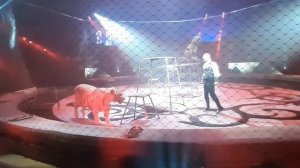 Большой Московский цирк братьев Запашных. Последнее представление "И100рия"