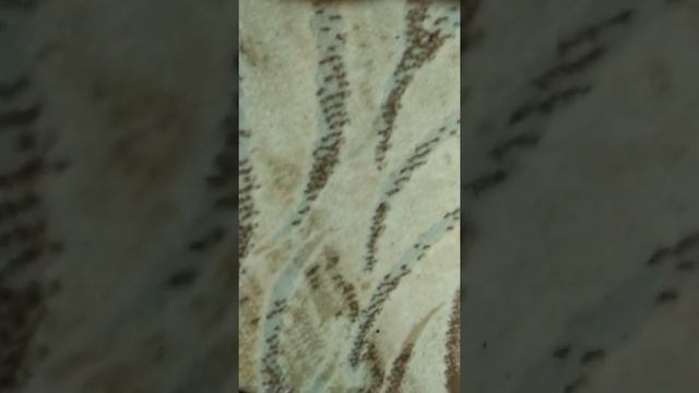 Самоделка паук лего майнкрафт(2 часть) смотреть онлайн