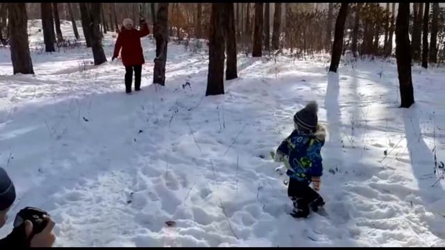 Солнечный ноябрь 2020 г