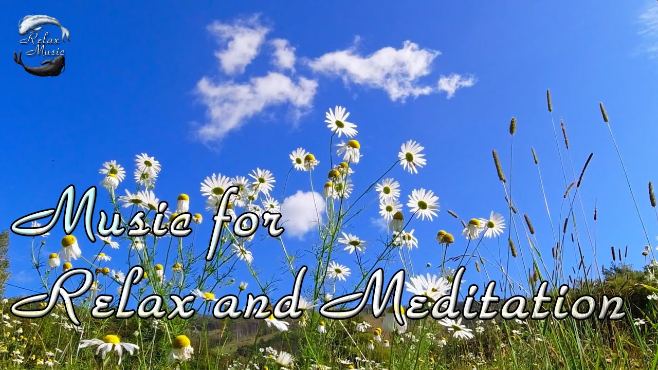 Красивая музыка на гитаре и щебет птиц для отдыха, сна. Музыка для медитации. смотреть онлайн