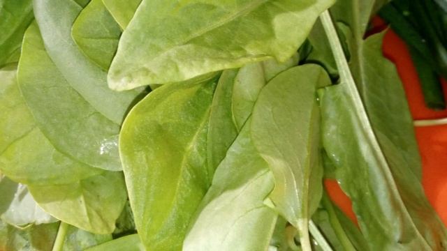 Борщ со щавелем