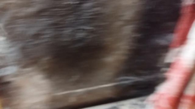 отопление гаража на этаноле смотреть онлайн