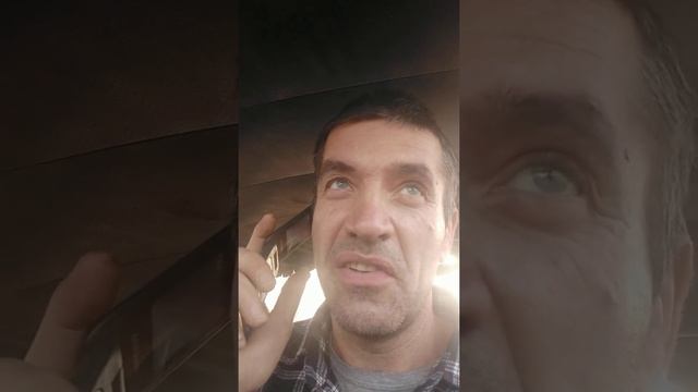 Водительские права тем кто в розыске в Приднестровье смотреть онлайн