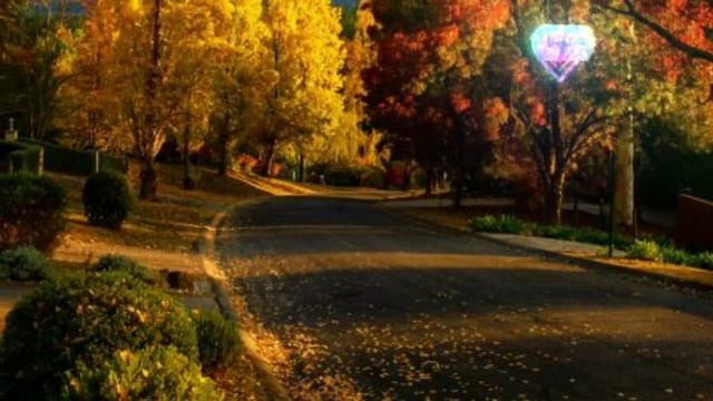 Истории из жизни. Миша не по любви женился,а по нужде, к жене, как к домработнице относился...