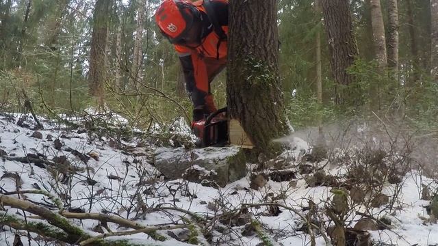 Skogsforum Testar - Husqvarna 550XP Mark II mot gamla 550XP смотреть онлайн