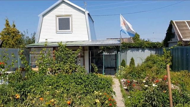 34. Новые посадки на огороде. смотреть онлайн