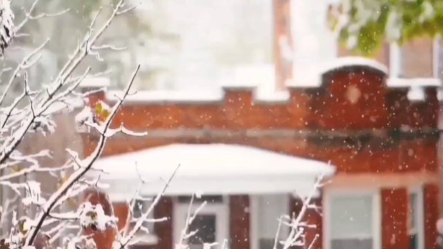 НЕГАТИВНОЕ КУКУРУЗНОЕ ТРЕПЛО ИЗ КУБАНИ. ОЛЮНЯ И КОТЮНЯ. смотреть онлайн