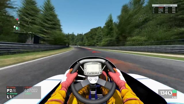 Project CARS - Nürburgring KARTING! (PS4 Gameplay) смотреть онлайн