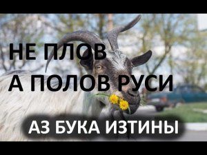 Не плов а полов Руси  Кулинарный рецепт от деда АЗ БУКА ИЗТИНЫ РУСЬ 21