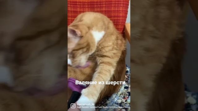 Как свалять медведя ? из шерсти (настоящего кота) смотреть онлайн