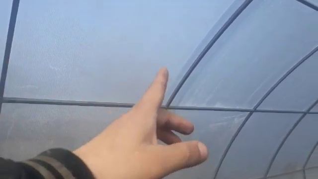 Теплица своими руками