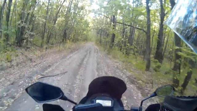 Suzuki XF 650 Freewind в лесу. Плюс-разгон до сотни. смотреть онлайн