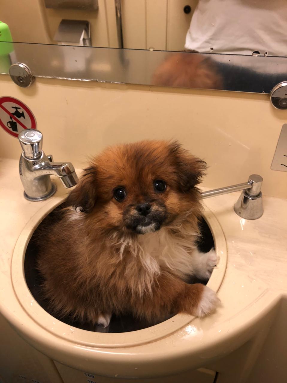 20 августа 2022 г. смотреть онлайн