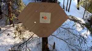 ИЖ-26 стрельба пулей 12 калибра