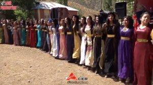 Курдские (Мидяне) свадьбы - Традиционный танец