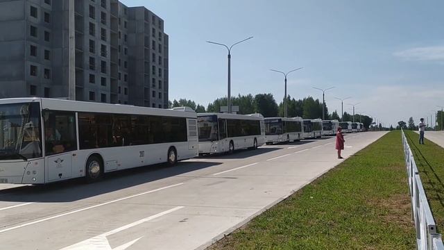 Новые автобусы МАЗ-203.015 в Бобруйске! (26.06.2021) смотреть онлайн