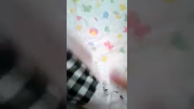 Моя собака мини той терьер вещи уход обзор вещей смотреть онлайн