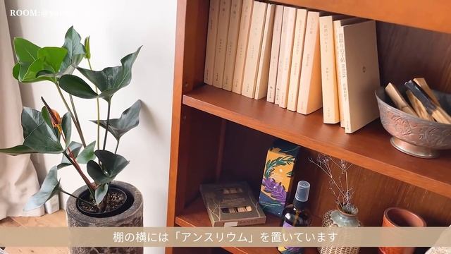 【ルームツアー】ヴィンテージ家具とDIYで中古マンションを海外風の部屋に｜収納アイデア｜夫婦二人暮らし・リノベーション｜おしゃれなインテリア｜2LDK｜ Japanese room tour смотреть онлайн