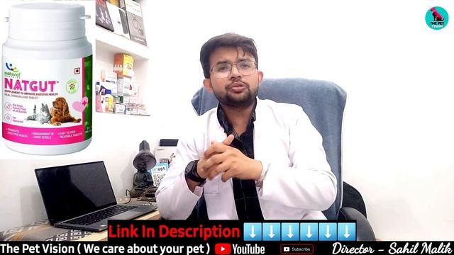 अब डॉग का पेट कभी खराब नहीं होगा ? || Dog Stomach Problems Solution || दस्त, उल्टी, पेट में गैस #do смотреть онлайн