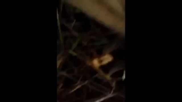 МОЖЕТ ЛИ ПАРАШЮТ ИЗ МУСОРНЫХ ПАКЕТОВ СПАСТИ ТЕЛЕФОН ОТ ПАДЕНИЯ С ВЫСОТЫ?? смотреть онлайн