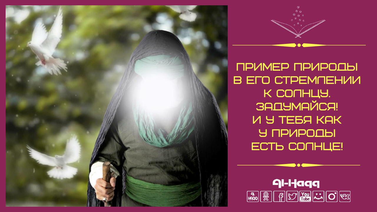 Пример природы в его стремлении к солнцу. Задумайся! И у тебя есть как у природы