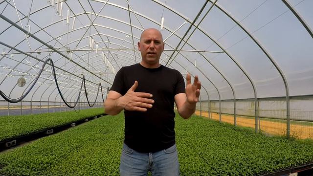What is Ecoli? Is your CSA box safe? смотреть онлайн