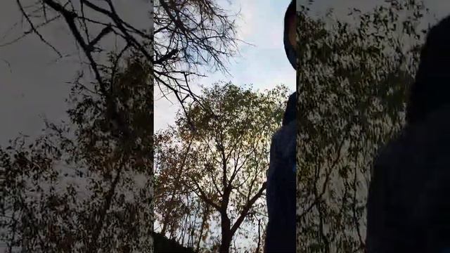 охота на человека грабли смотреть онлайн