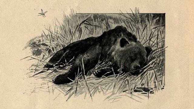 «Сказка про Комара Комаровича — длинный нос и про Мохнатого Мишу — короткий хвост» смотреть онлайн