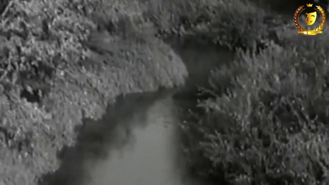 Видео-анонс акции - Арсеньево в ретро фотографиях смотреть онлайн