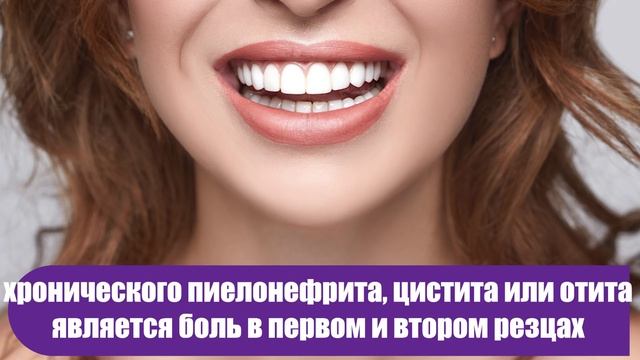 Каждый зуб связан с органом в теле: боль в любом может предсказать проблемы в будущем смотреть онлайн