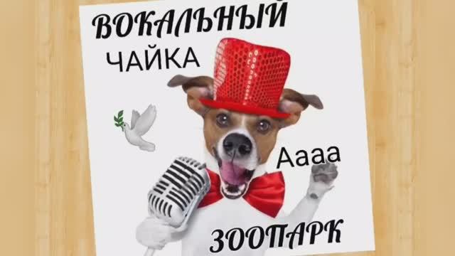 Вокальный ЗООПАРК?ЧАЙКА?️Высокие звуки? смотреть онлайн