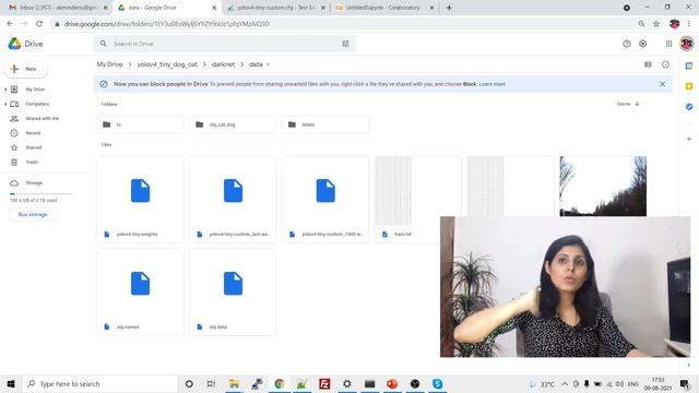 Object Detection Using YOLOv4-tiny | Part 1 смотреть онлайн