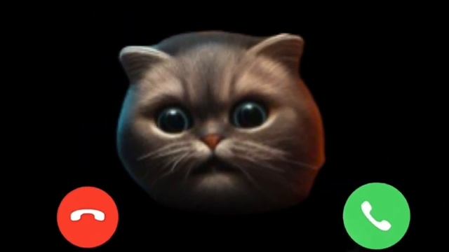 Cat ? Apple Ringtone ? , new Ringtone song. #iphone #new #music смотреть онлайн